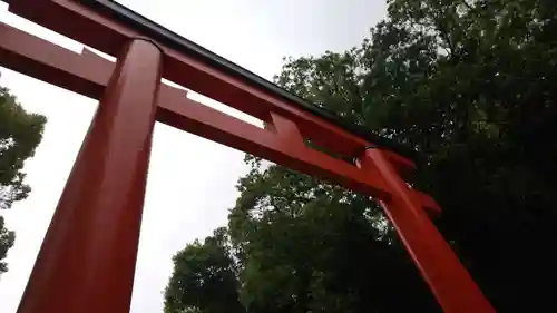 賀茂御祖神社（下鴨神社）の鳥居