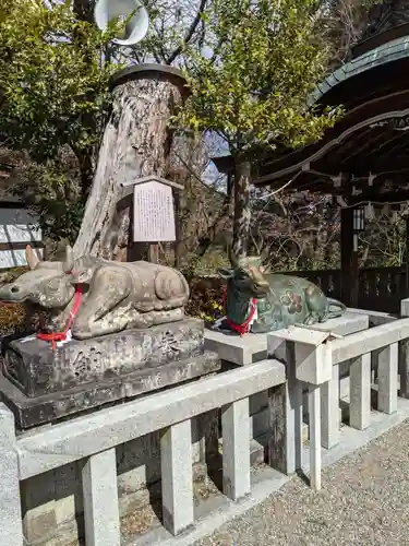 長岡天満宮の狛犬