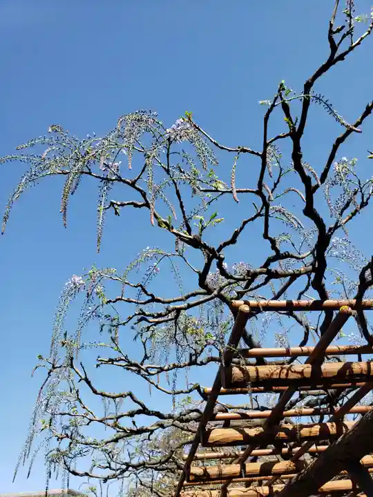 愛染院(東京都)