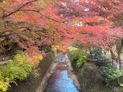北野天満宮(京都府)