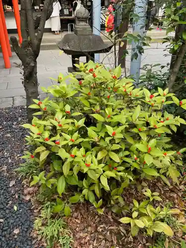 愛宕神社のその他建物