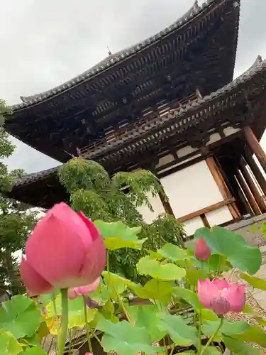 喜光寺の自然