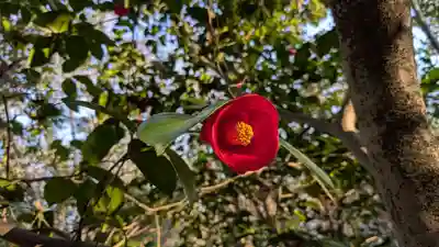 湯釜薬師(愛媛県)