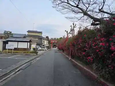 梅宮大社(京都府)