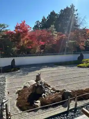 宝徳寺の{uncategorized: "未分類", other: "その他", undefined: "問題あり", building: "その他建物", grave: "お墓", sacred_gate: "鳥居", guardian: "狛犬", statue: "像", buddha: "仏像", history: "歴史", nature: "自然", garden: "庭園", animal: "動物", pagoda: "塔", temizu: "手水舎", mountain_gate: "山門・神門", sanctuary: "本殿・本堂", subordinate: "末社・摂社", art: "芸術", scenery: "景色", jizo: "地蔵", ema: "絵馬", goshuin: "御朱印", omikuji: "おみくじ", items: "授与品その他", amulet: "お守り", goshuincho: "御朱印帳", eats: "食事", festival: "お祭り", votive_dance: "神楽", shichigosan: "七五三参", wedding: "結婚式", experience: "体験その他", initially: "初詣", around: "周辺", anti_infection: "感染症対策"}