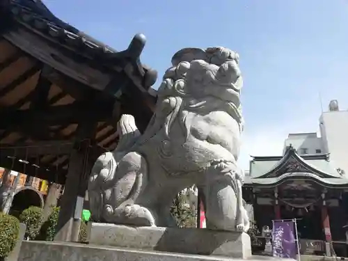 柏神社の狛犬