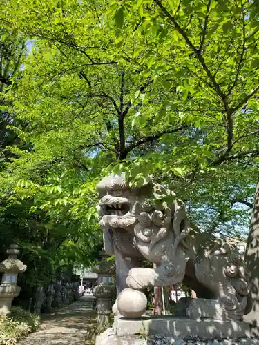 神炊館神社 ⁂奥州須賀川総鎮守⁂の狛犬