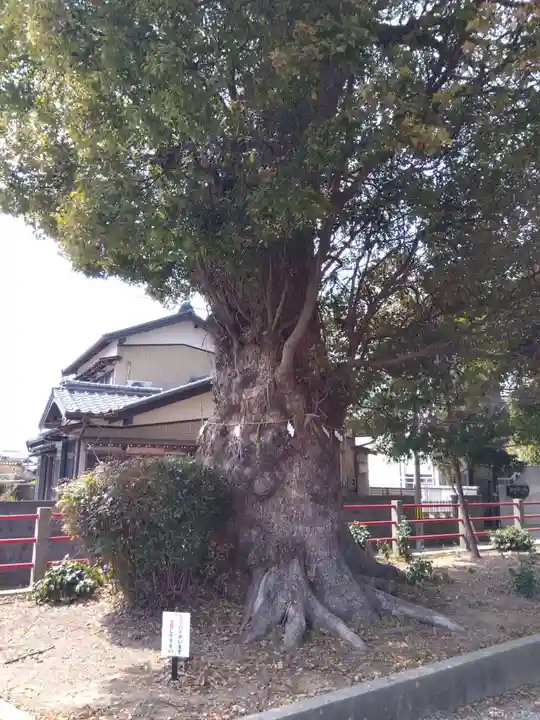 神明宮(愛知県)