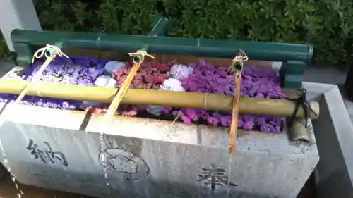 伊和志津神社(兵庫県)