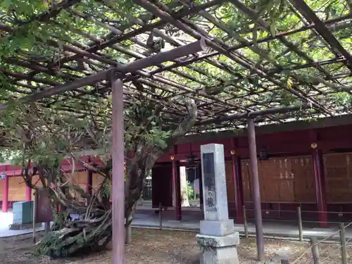 笠間稲荷神社の自然