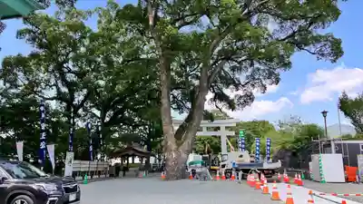 加藤神社(熊本県)