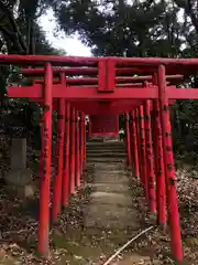 須賀神社の鳥居