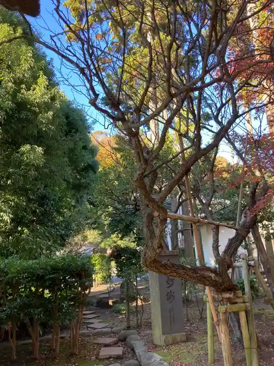 天嶽院(神奈川県)
