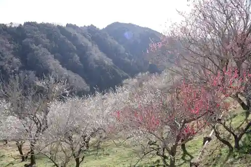 真福寺(奈良県)