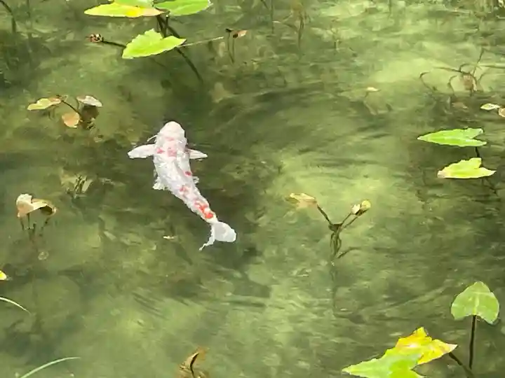 根道神社(岐阜県)