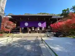 禅林寺（永観堂）の本殿