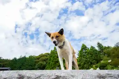 正法寺(山口県)