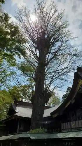 麻賀多神社の自然