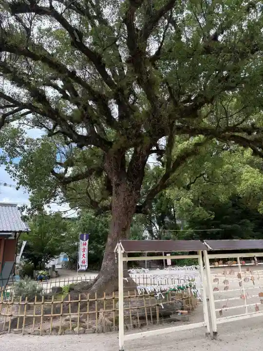 與止日女神社(佐賀県)