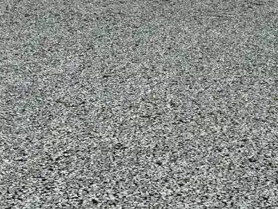 安養寺の{uncategorized: "未分類", other: "その他", undefined: "問題あり", building: "その他建物", grave: "お墓", sacred_gate: "鳥居", guardian: "狛犬", statue: "像", buddha: "仏像", history: "歴史", nature: "自然", garden: "庭園", animal: "動物", pagoda: "塔", temizu: "手水舎", mountain_gate: "山門・神門", sanctuary: "本殿・本堂", subordinate: "末社・摂社", art: "芸術", scenery: "景色", jizo: "地蔵", ema: "絵馬", goshuin: "御朱印", omikuji: "おみくじ", items: "授与品その他", amulet: "お守り", goshuincho: "御朱印帳", eats: "食事", festival: "お祭り", votive_dance: "神楽", shichigosan: "七五三参", wedding: "結婚式", experience: "体験その他", initially: "初詣", around: "周辺", anti_infection: "感染症対策"}