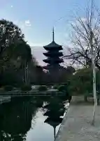 東寺(教王護国寺)(京都府)