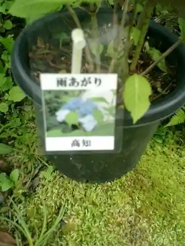 光則寺(神奈川県)