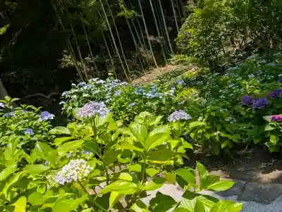 長壽寺(長寿寺)(神奈川県)