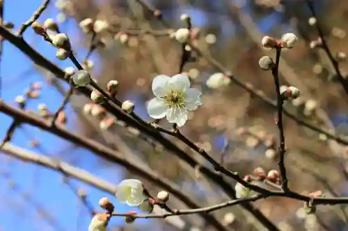 豊景神社の自然