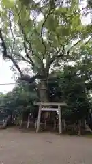 松阪神社(三重県)