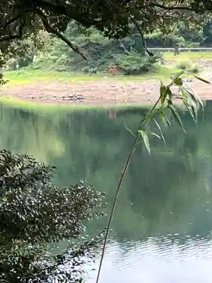 多鯰ヶ池弁天宮(鳥取県)