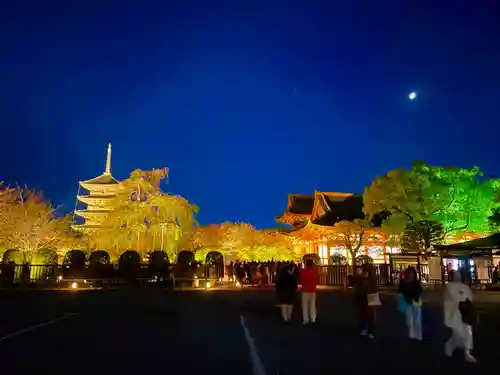 東寺（教王護国寺）(京都府)