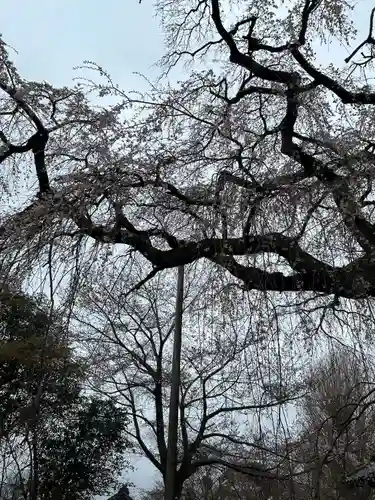 阿弥陀寺のその他建物