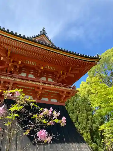 仁和寺(京都府)