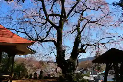 荒井馬頭観音堂の景色