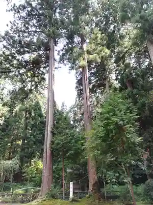 粟鹿神社(兵庫県)