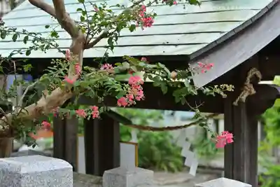 八幡大神(神奈川県)