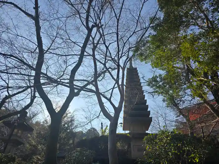 朝護孫子寺(奈良県)