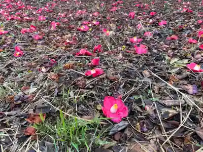 山の神神社の自然