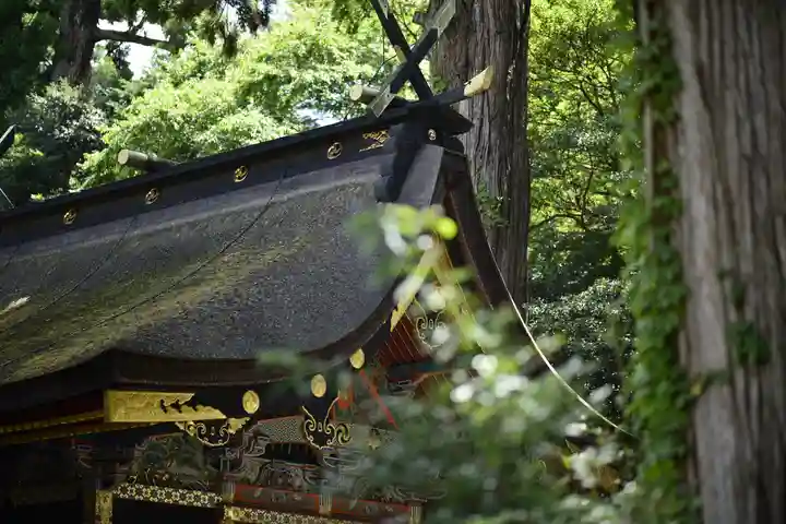 鹿島神宮(茨城県)