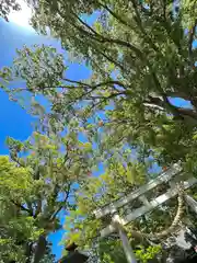 白鳥神社(長野県)