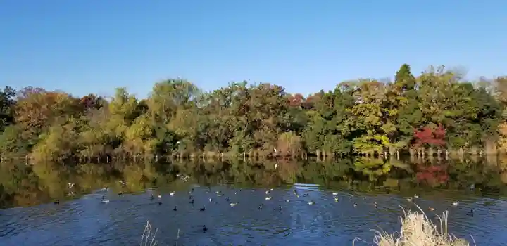稲荷神社(埼玉県)
