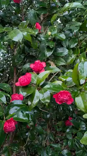 城南宮(京都府)