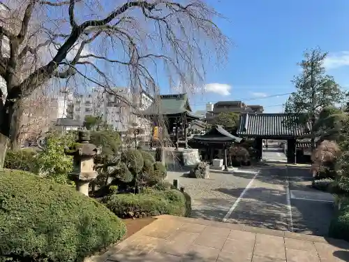 青柳寺の{uncategorized: "未分類", other: "その他", undefined: "問題あり", building: "その他建物", grave: "お墓", sacred_gate: "鳥居", guardian: "狛犬", statue: "像", buddha: "仏像", history: "歴史", nature: "自然", garden: "庭園", animal: "動物", pagoda: "塔", temizu: "手水舎", mountain_gate: "山門・神門", sanctuary: "本殿・本堂", subordinate: "末社・摂社", art: "芸術", scenery: "景色", jizo: "地蔵", ema: "絵馬", goshuin: "御朱印", omikuji: "おみくじ", items: "授与品その他", amulet: "お守り", goshuincho: "御朱印帳", eats: "食事", festival: "お祭り", votive_dance: "神楽", shichigosan: "七五三参", wedding: "結婚式", experience: "体験その他", initially: "初詣", around: "周辺", anti_infection: "感染症対策"}