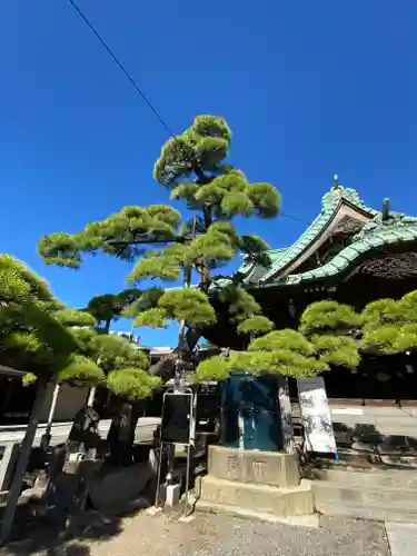 題経寺（柴又帝釈天）(東京都)