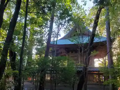 淡河八幡神社の本殿・本堂