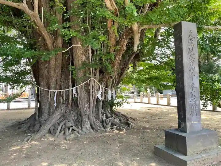 葛飾八幡宮(千葉県)