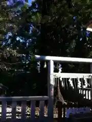 大杉神社の建物その他