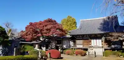 國分寺のその他建物