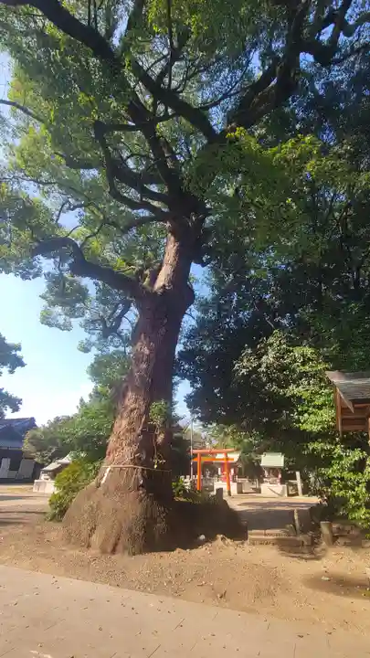 宗像神社(愛媛県)
