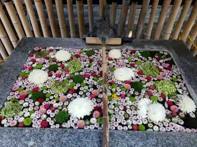 高円寺氷川神社(東京都)